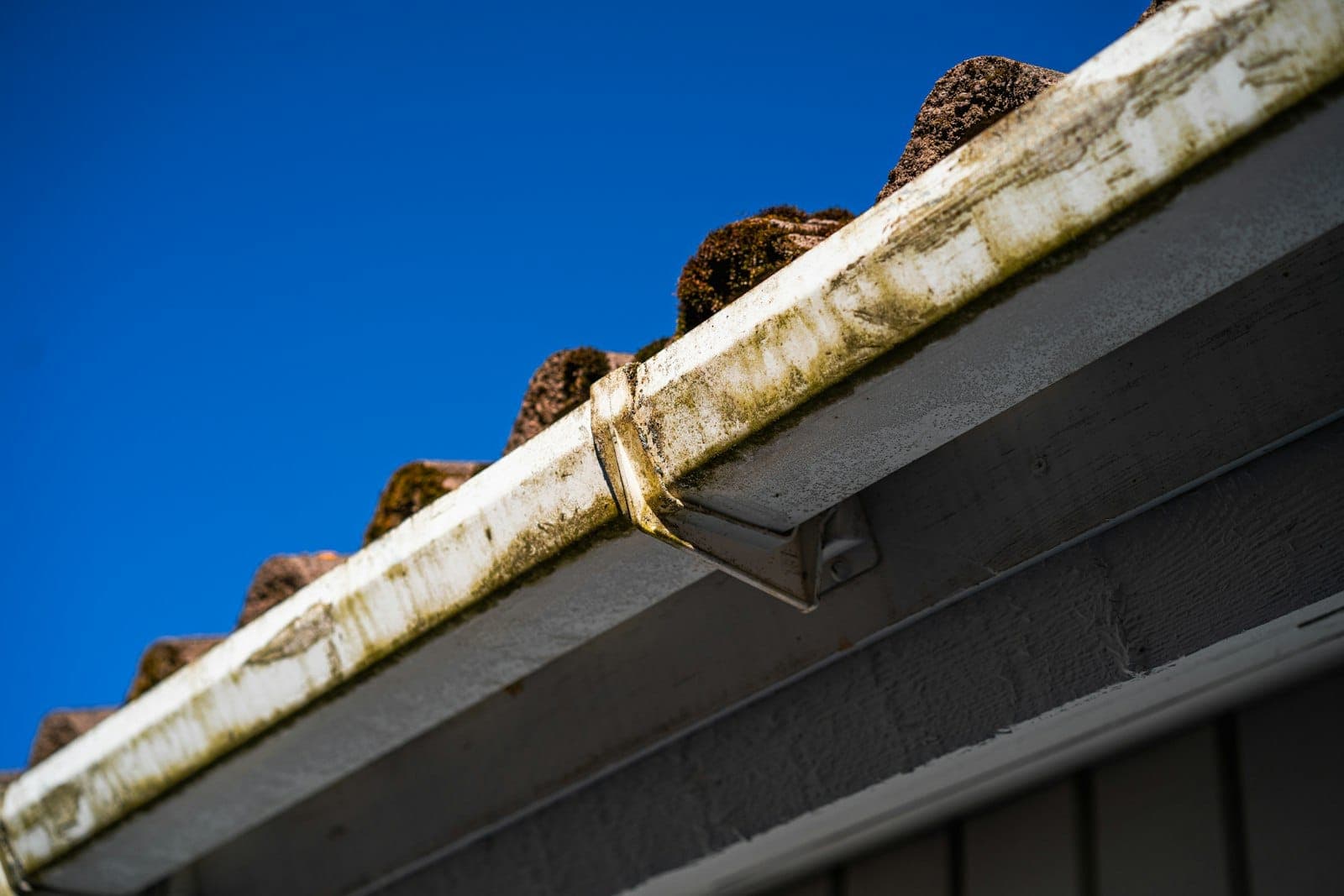 Gutter filled with debris that needs cleaning